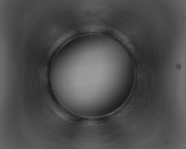 X0000091560250200708311421