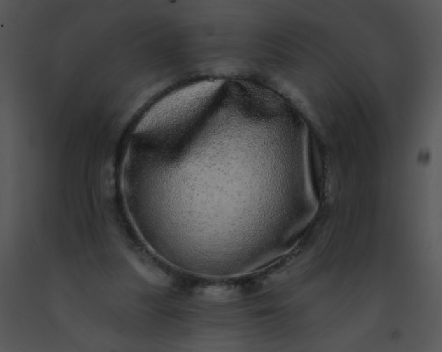 X0000091560251200708311421