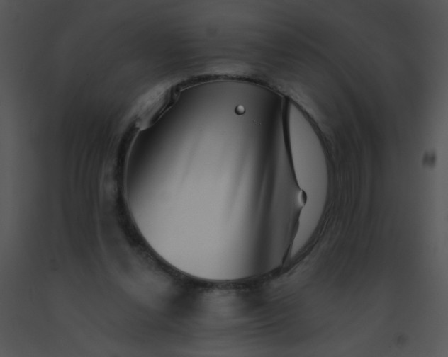 X0000091560252200708311421