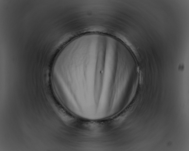 X0000091560253200708311421