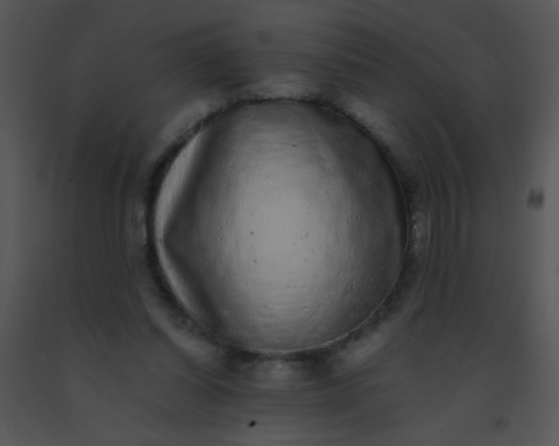 X0000091560254200708311421