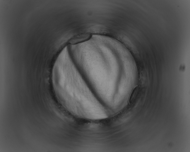 X0000091560255200708311421