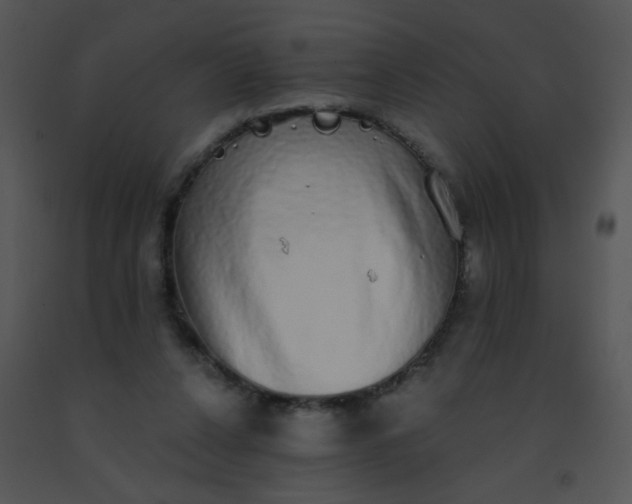 X0000091560256200708311421