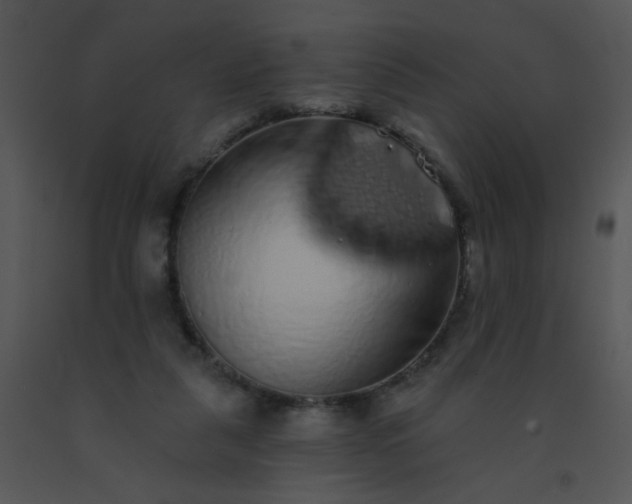 X0000091560259200708311421