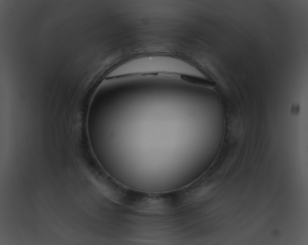 X0000091560260200708311421