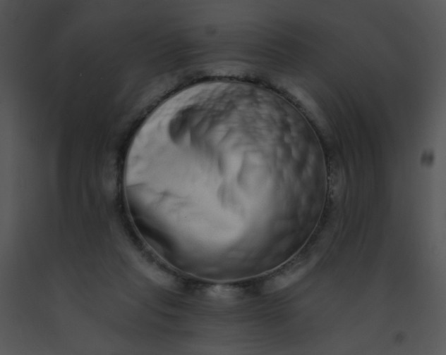 X0000091560261200708311421