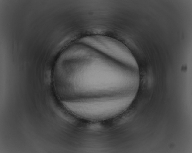 X0000091560262200708311421