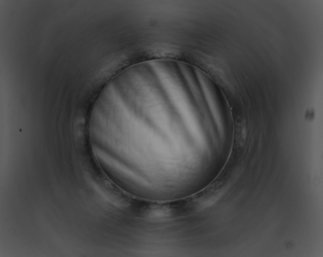 X0000091560263200708311421