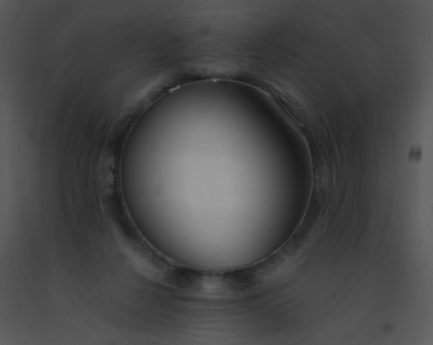 X0000091560264200708311421