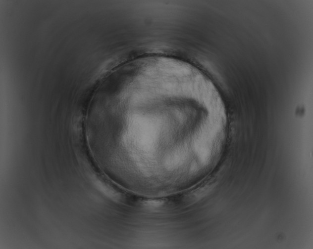 X0000091560265200708311421