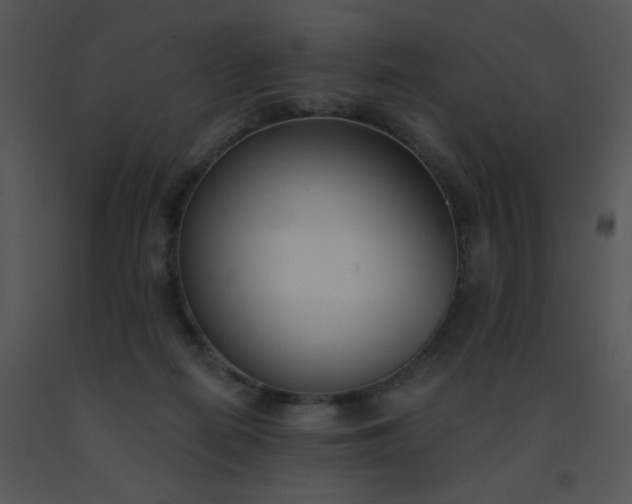 X0000091560266200708311421