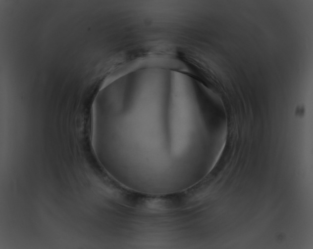 X0000091560268200708311421