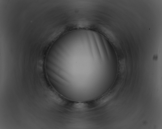 X0000091560269200708311421