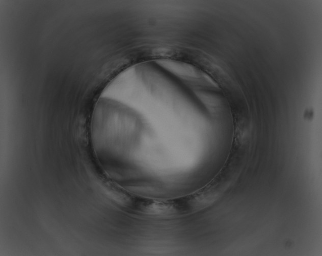 X0000091560270200708311421