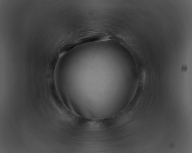 X0000091560272200708311421