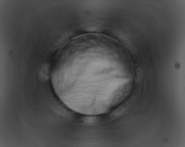 X0000091560273200708311421