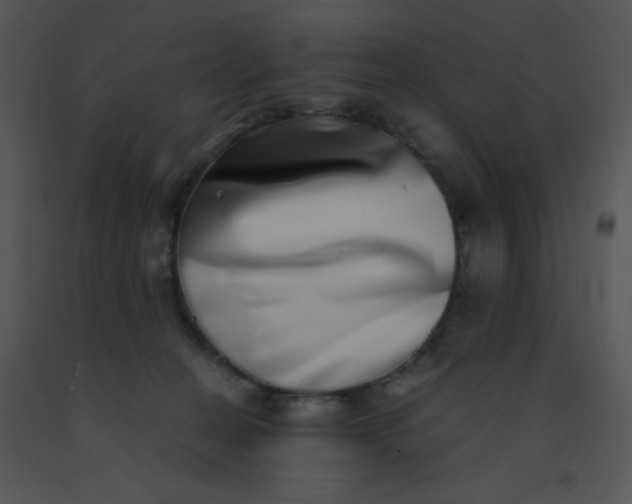 X0000091560274200708311421