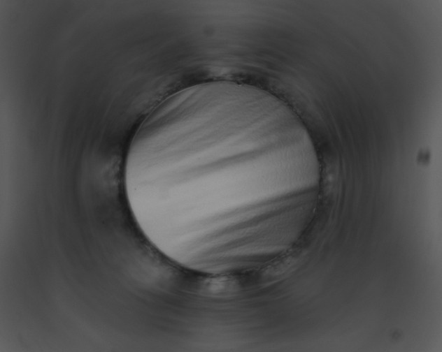 X0000091560275200708311421