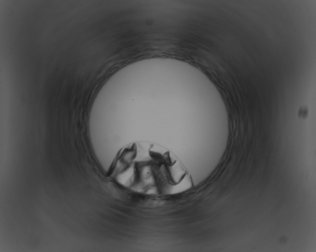 X0000091560276200708311421