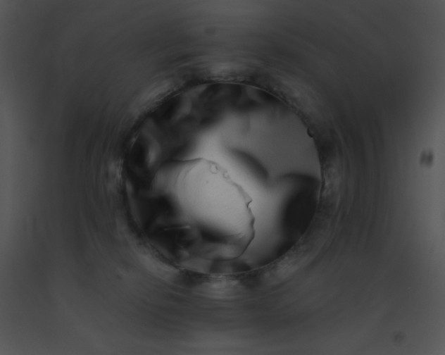 X0000091560278200708311421