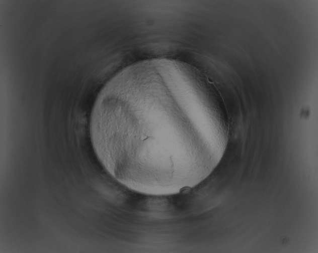 X0000091560279200708311421