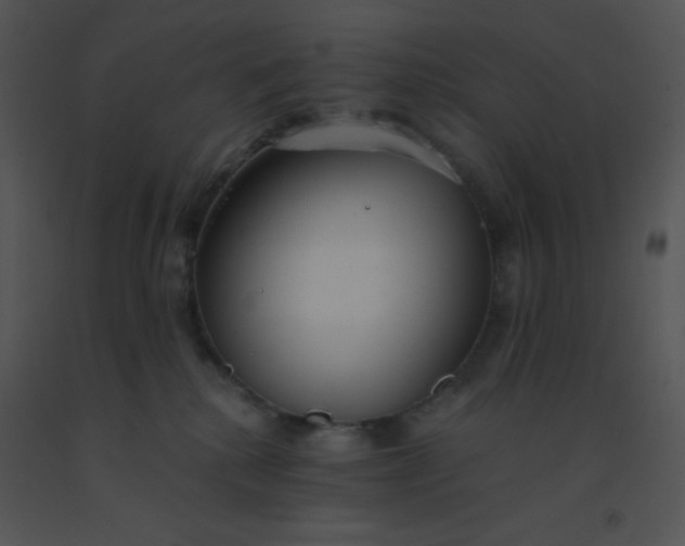 X0000091560280200708311421