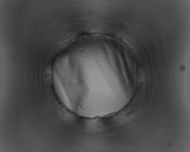 X0000091560281200708311421