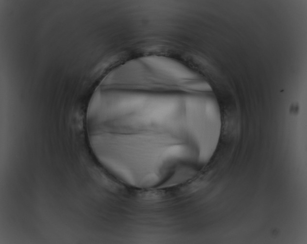 X0000091560282200708311421