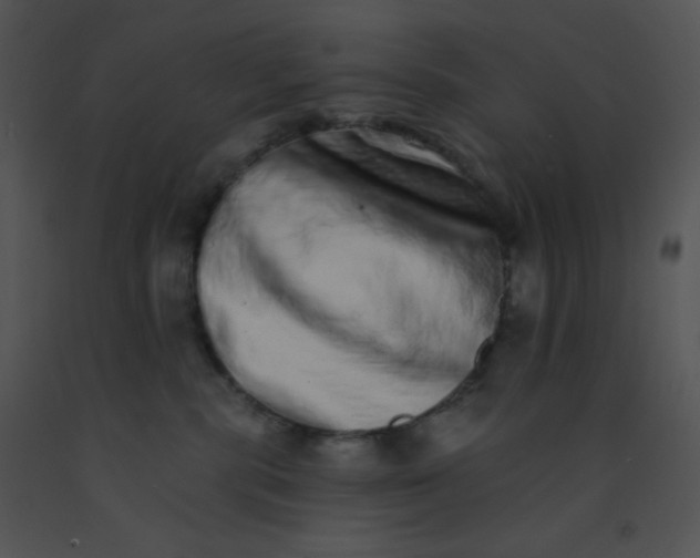 X0000091560283200708311421