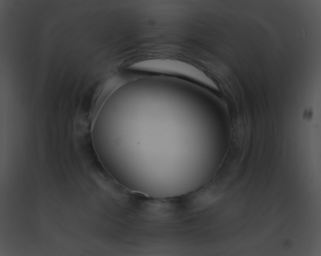 X0000091560284200708311421