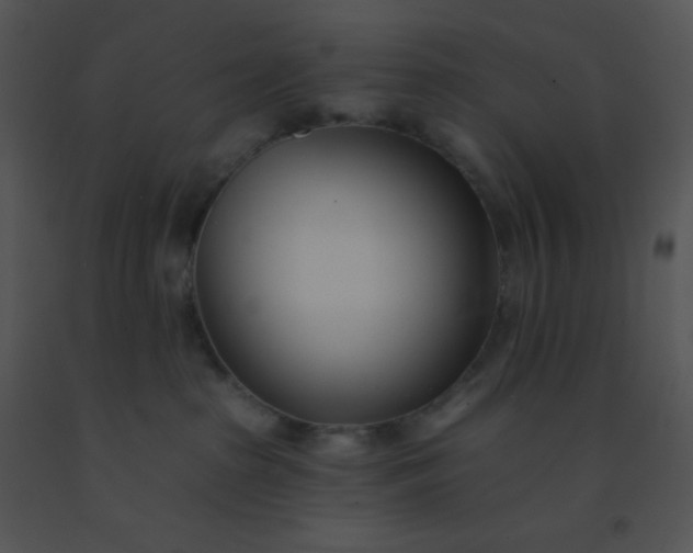 X0000091560285200708311421