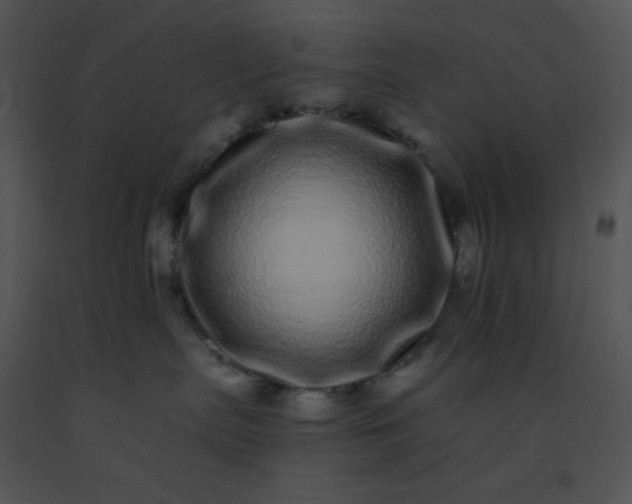 X0000091560287200708311421