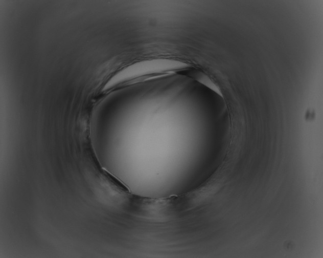 X0000091560288200708311421