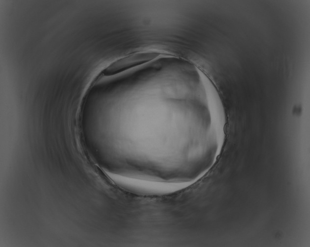 X0000091560289200708311420