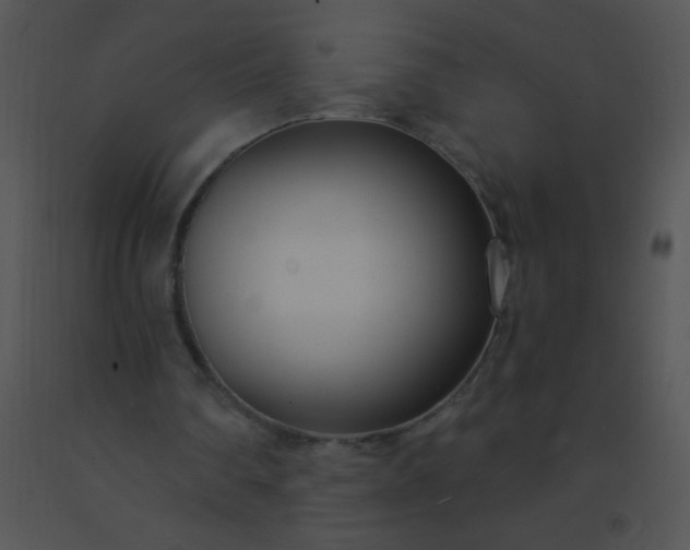 X0000091560290200708311420