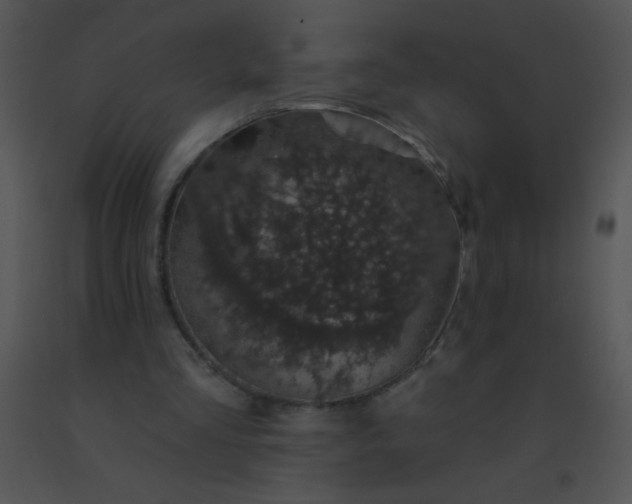 X0000091560293200708311420