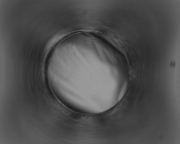 X0000091560294200708311420