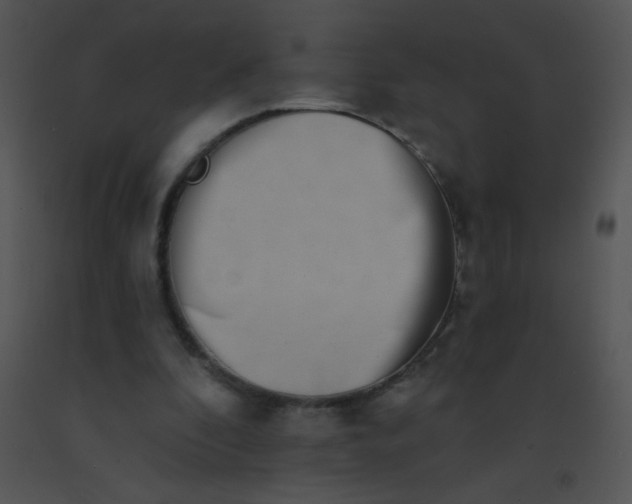 X0000091560296200708311420