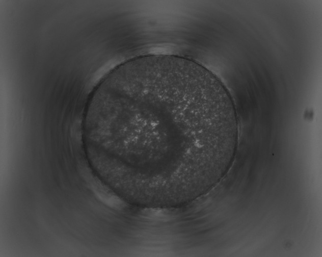 X0000091560297200708311420