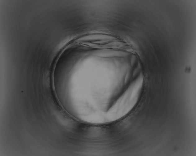 X0000091560298200708311420