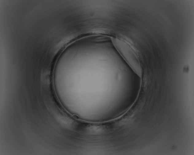 X0000091560299200708311420