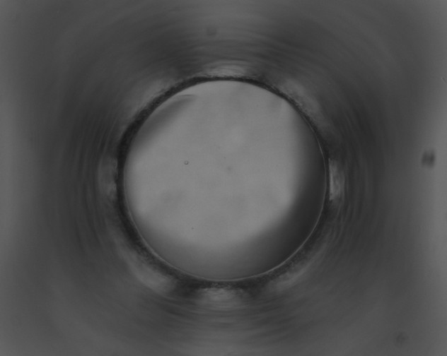 X0000091560300200708311420