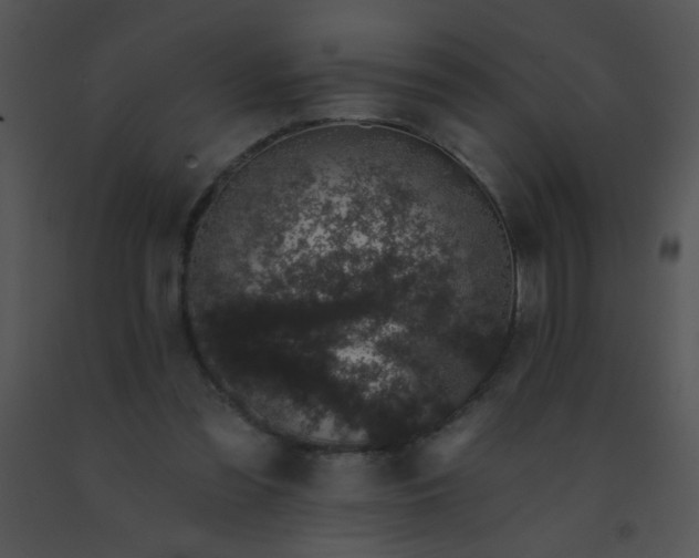 X0000091560301200708311420