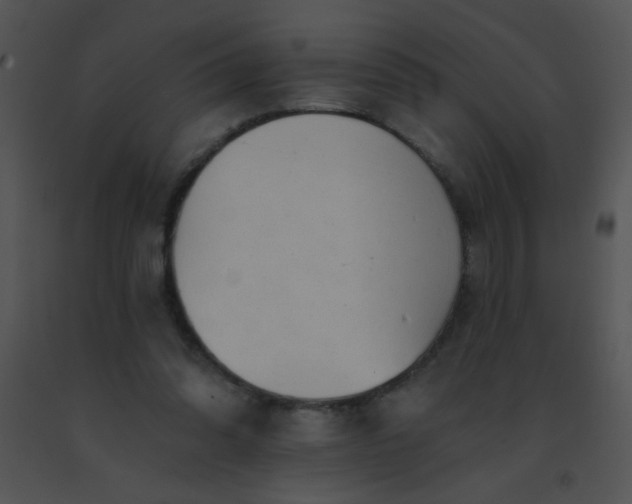 X0000091560302200708311420