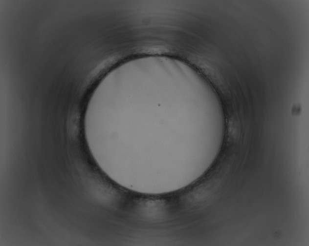 X0000091560304200708311420