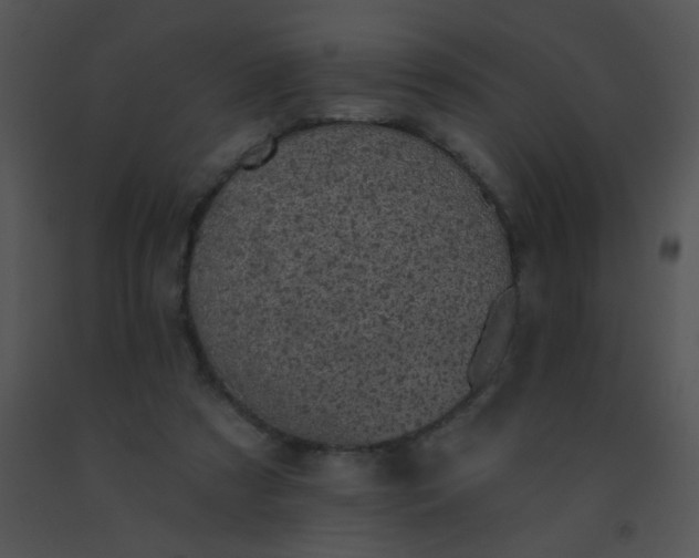 X0000091560305200708311420