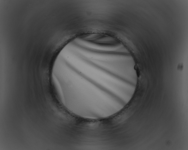 X0000091560306200708311420