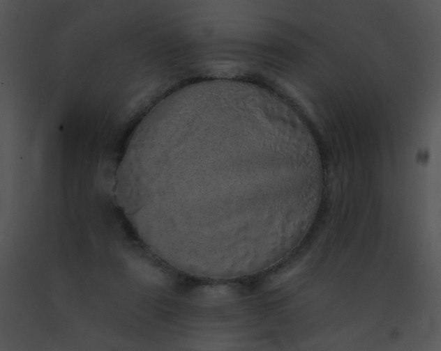 X0000091560307200708311420