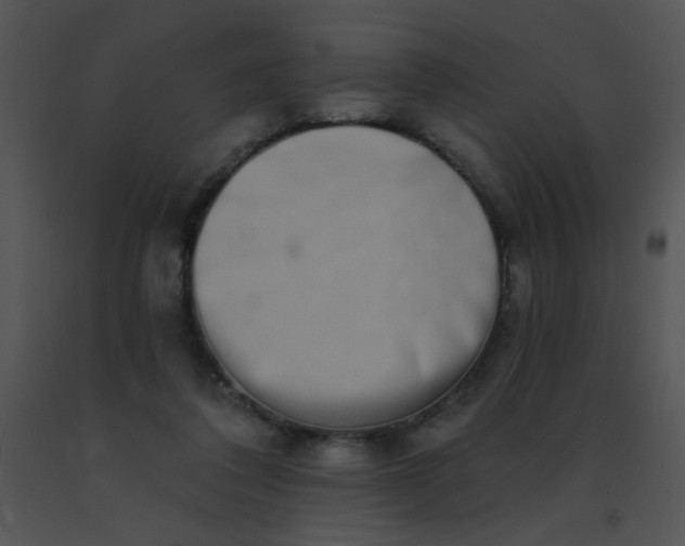 X0000091560308200708311420