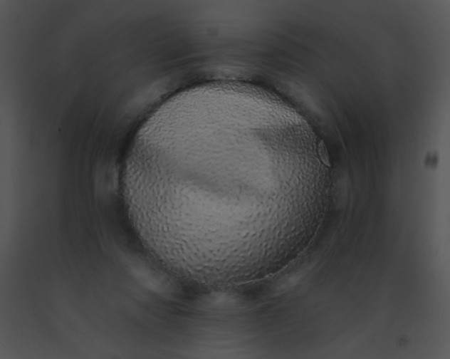 X0000091560310200708311420